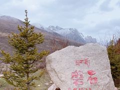 -莲宝叶则景区
