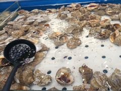 -川骄海鲜自助(河东店)