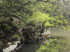 -兰亭风景区