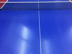 -大凤凰乒乓球馆