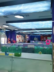 -海豚啵啵体智能游泳馆(惠山万达广场店)