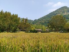 -八卦田遗址公园