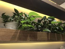 -简影造型·自选烫染接发salon