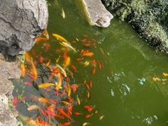 -善卷洞风景区
