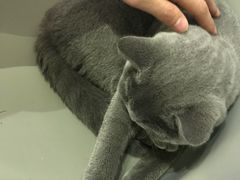 -壹人壹像工作室(购物公园店)