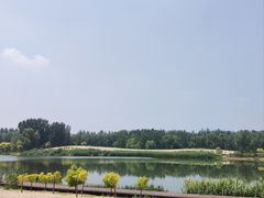 -东郊湿地公园