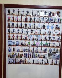 -维纳斯专业减肥