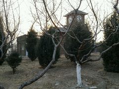 -永定河休闲森林公园