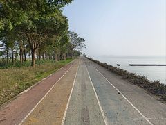 -贡湖湾湿地公园