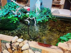 -邈墨茶馆(大兜路1号店)