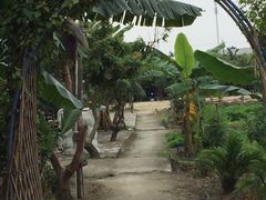 -长洲岛