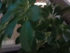 -纪林菜馆·博山菜老字号(华光路店)