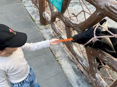 -森波拉火山温泉