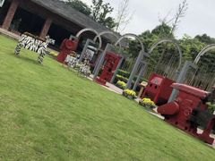 -成飞公园