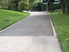 -晓港公园
