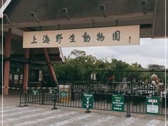 -上海野生动物园老虎餐厅