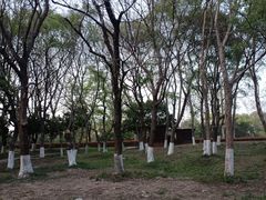 -七桥瓮公园