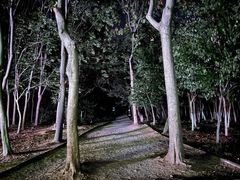 -大蜀山国家森林公园