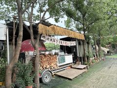 -动邦皮划艇·桨板·独木舟·团建户外运动俱乐部
