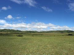 -乌兰布统景区-白桦林