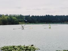 -溱湖国家湿地公园