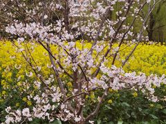 -中国浦东干部学院