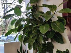 -丽泽山庄·生态怀柔菜·虹鳟鱼(红螺寺店)