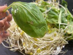 -皖北巫氏三胖地锅鸡(长淮总店)