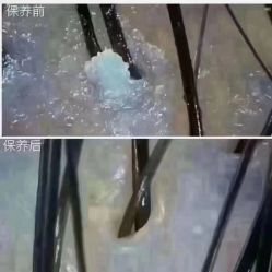 -菩叶脱发白发中心