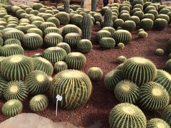 -南通洲际绿博园