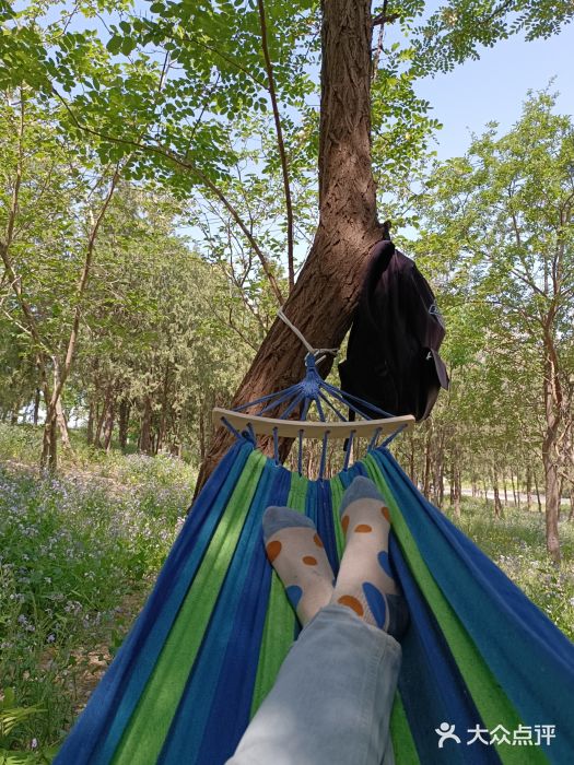 永定河休闲森林公园图片