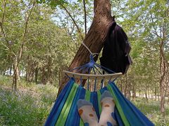 -永定河休闲森林公园