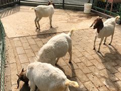 -朝阳公园
