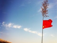 -日照海滨国家森林公园