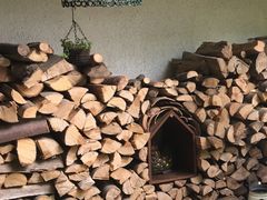 -三鹰之森吉卜力美术馆