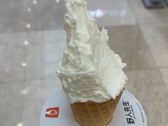 -野人先生Gelato(上海长宁龙之梦店)