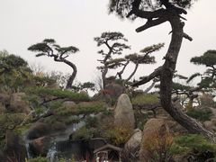 -罗红摄影艺术馆