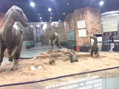 -中国西峡恐龙遗迹园