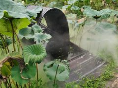-红山村