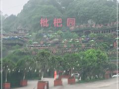 -枇杷园食为鲜火锅(南山店)