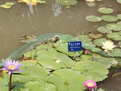-中国科学院西双版纳热带植物园