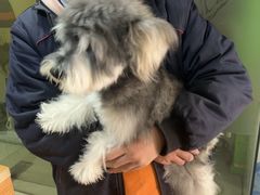 -酷狗靓猫宠物·洗护·美容·寄养(航北路店)