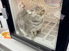 -FAELING PETS美天灵宠物(富力广场店)