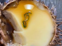 -海胆小馆(东北水饺·春柳店)