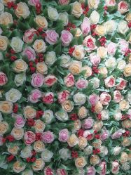 -变美丽半永久纹眉连锁·机器野生眉•洗眉