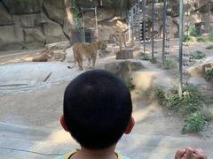 -荆州中山公园动物园