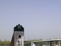 -白洋淀景区