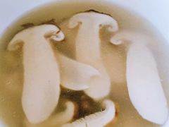 -东巴谷野生菌火锅餐厅