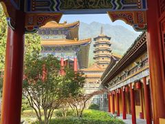 -天目山大树王景区