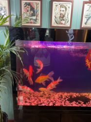 -尚逸男士理发馆·专注男发